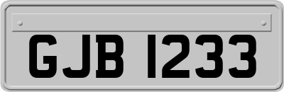 GJB1233