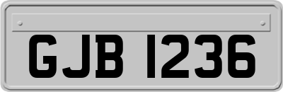 GJB1236