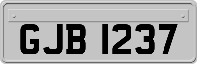 GJB1237