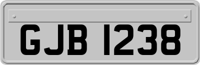 GJB1238