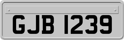 GJB1239