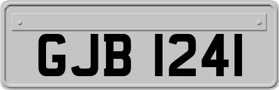 GJB1241