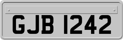 GJB1242