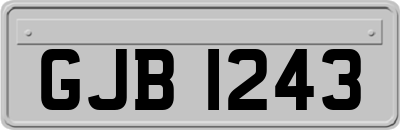 GJB1243