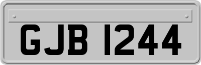 GJB1244