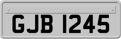 GJB1245