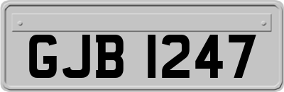 GJB1247