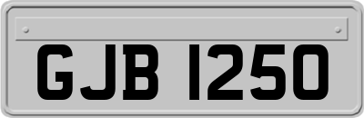 GJB1250