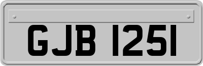GJB1251