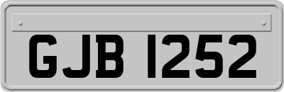 GJB1252