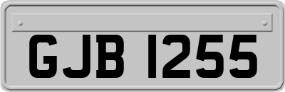 GJB1255