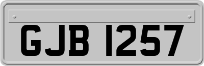 GJB1257