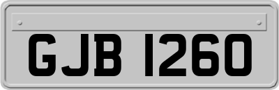 GJB1260