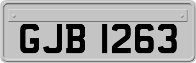 GJB1263