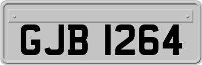 GJB1264