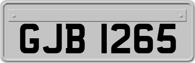 GJB1265