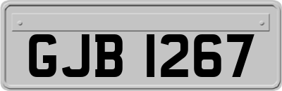 GJB1267