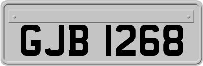 GJB1268