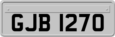 GJB1270