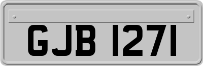 GJB1271