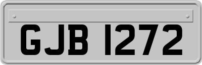 GJB1272