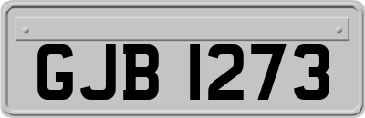GJB1273