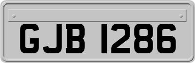 GJB1286