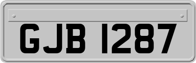 GJB1287