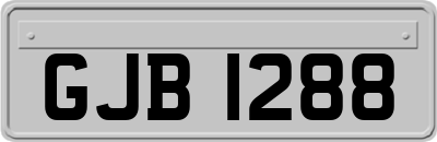 GJB1288