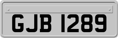 GJB1289