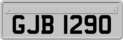 GJB1290