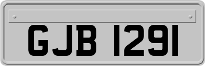 GJB1291
