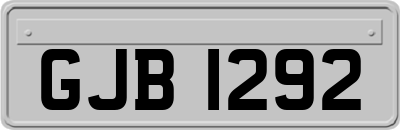 GJB1292