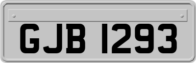 GJB1293