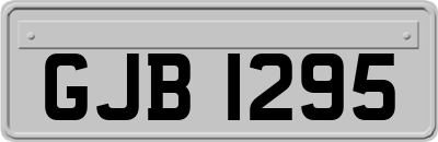 GJB1295