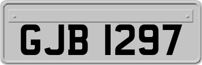 GJB1297