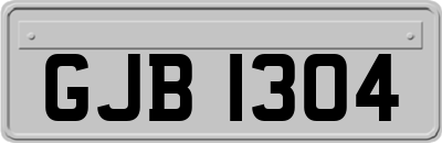 GJB1304