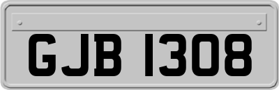 GJB1308