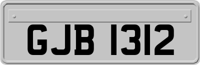 GJB1312
