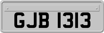 GJB1313