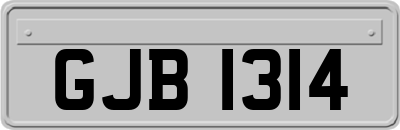 GJB1314