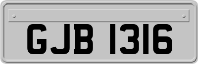 GJB1316