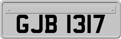 GJB1317