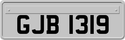 GJB1319