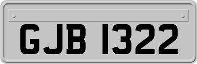 GJB1322