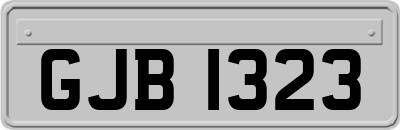 GJB1323