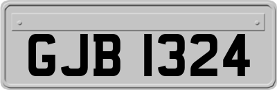 GJB1324