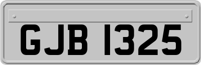 GJB1325
