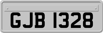 GJB1328