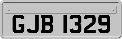 GJB1329